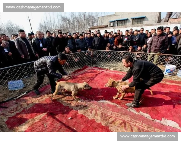 斗狗场比赛背后隐藏的暴力与伦理争议及其对社会的深远影响